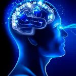 пользователь 