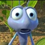 пользователь 