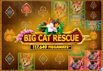 Big Cat Rescue MegaWays