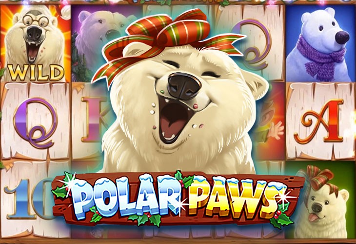 Polar Paws Polar Paws