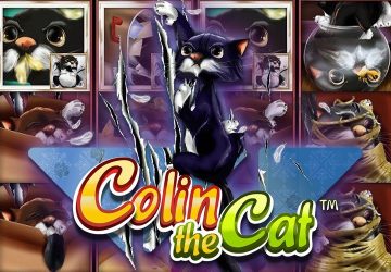 Colin the Cat