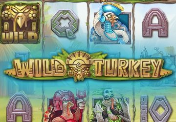 Wild Turkey