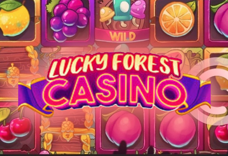 Lucky Forest Casino Lucky Forest Casino