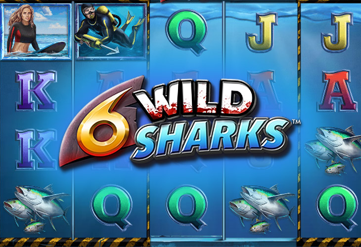 6 Wild Sharks 6 Wild Sharks