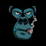 пользователь 